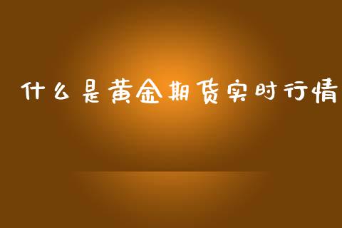 什么是黄金期货实时行情_https://www.qdlswl.com_期货_第1张