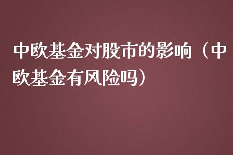 中欧基金对股市的影响（中欧基金有风险吗）_https://www.qdlswl.com_理财_第1张