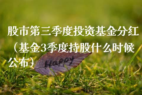股市第三季度投资基金分红（基金3季度持股什么时候公布）_https://www.qdlswl.com_理财_第1张