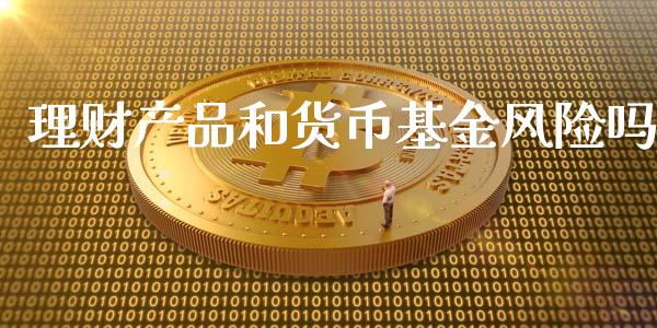 理财产品和货币基金风险吗_https://www.qdlswl.com_基金_第1张