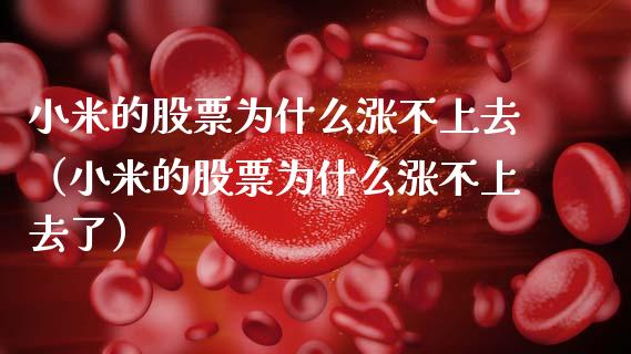 小米的股票为什么涨不上去（小米的股票为什么涨不上去了）_https://www.qdlswl.com_内盘_第1张