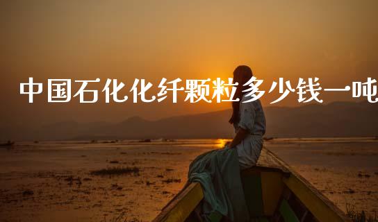 中国石化化纤颗粒多少钱一吨_https://www.qdlswl.com_股指_第1张