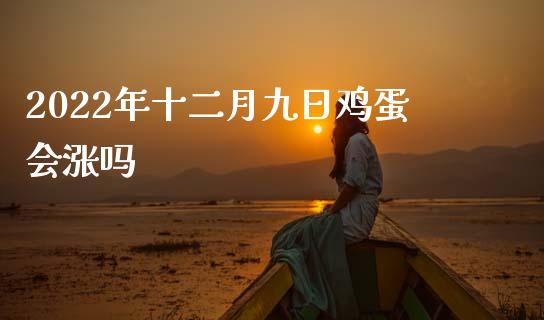 2022年十二月九日鸡蛋会涨吗_https://www.qdlswl.com_期货_第1张