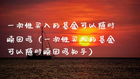 一次性买入的基金可以随时赎回吗（一次性买入的基金可以随时赎回吗知乎）_https://www.qdlswl.com_基金_第1张