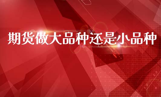 期货做大品种还是小品种_https://www.qdlswl.com_期货_第1张