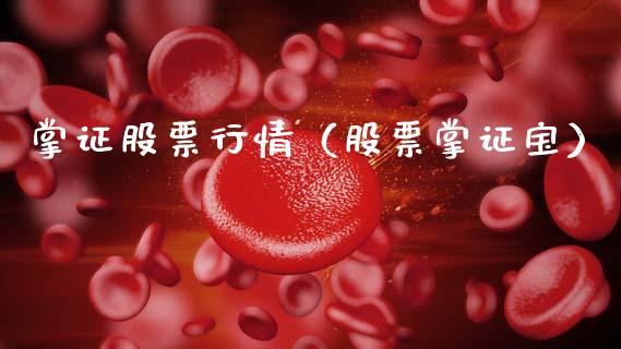 掌证股票行情（股票掌证宝）_https://www.qdlswl.com_内盘_第1张