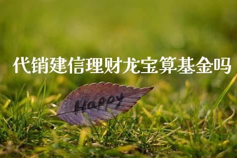 代销建信理财龙宝算基金吗_https://www.qdlswl.com_基金_第1张