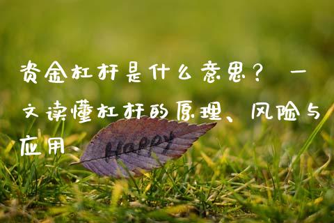 资金杠杆是什么意思？ 一文读懂杠杆的原理、风险与应用_https://www.qdlswl.com_股票_第1张