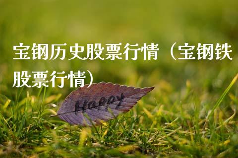 宝钢历史股票行情（宝钢铁股票行情）_https://www.qdlswl.com_内盘_第1张
