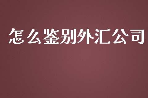 怎么鉴别外汇公司_https://www.qdlswl.com_基金_第1张