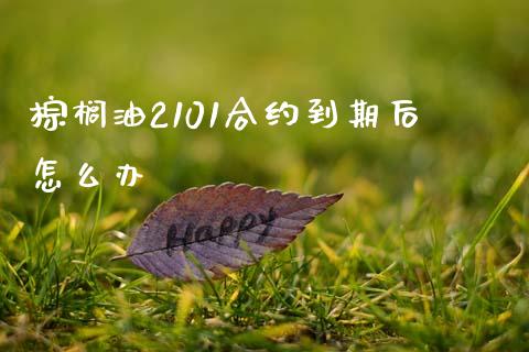 棕榈油2101合约到期后怎么办_https://www.qdlswl.com_直播_第1张