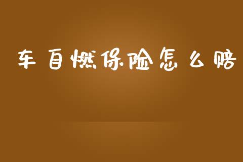 车自燃保险怎么赔_https://www.qdlswl.com_期货_第1张