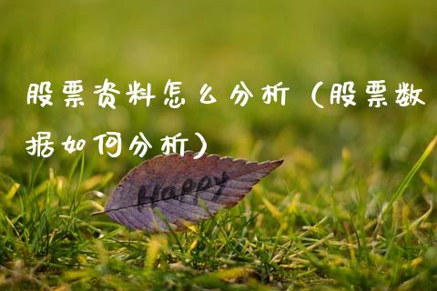 股票资料怎么分析（股票数据如何分析）_https://www.qdlswl.com_外盘_第1张