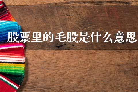 股票里的毛股是什么意思_https://www.qdlswl.com_直播_第1张