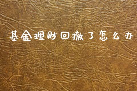 基金理财回撤了怎么办_https://www.qdlswl.com_基金_第1张