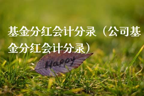 基金分红会计分录（公司基金分红会计分录）_https://www.qdlswl.com_基金_第1张