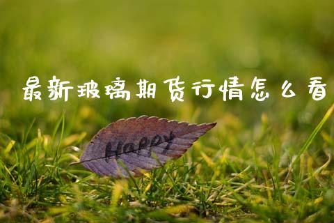 最新玻璃期货行情怎么看_https://www.qdlswl.com_期货_第1张