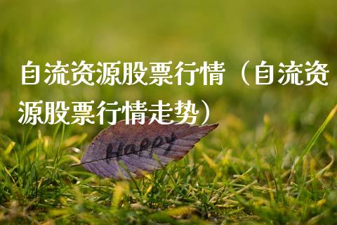 自流资源股票行情（自流资源股票行情走势）_https://www.qdlswl.com_股票_第1张