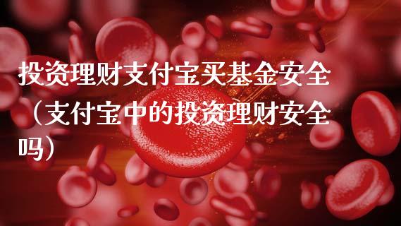 投资理财支付宝买基金安全（支付宝中的投资理财安全吗）_https://www.qdlswl.com_理财_第1张