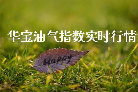 华宝油气指数实时行情_https://www.qdlswl.com_直播_第1张