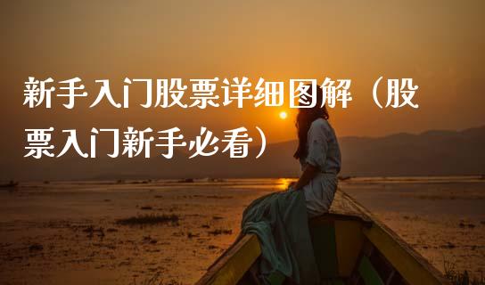 新手入门股票详细图解（股票入门新手必看）_https://www.qdlswl.com_外盘_第1张