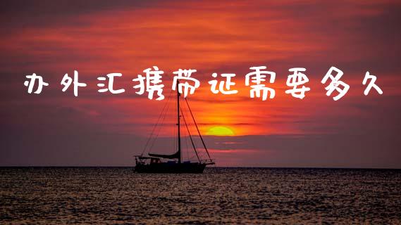 办外汇携带证需要多久_https://www.qdlswl.com_理财_第1张