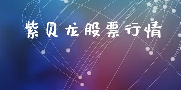 紫贝龙股票行情_https://www.qdlswl.com_外盘_第1张