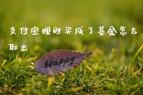 支付宝理财买成了基金怎么取出_https://www.qdlswl.com_理财_第1张