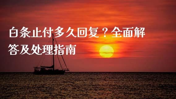 白条止付多久回复？全面解答及处理指南_https://www.qdlswl.com_外盘_第1张