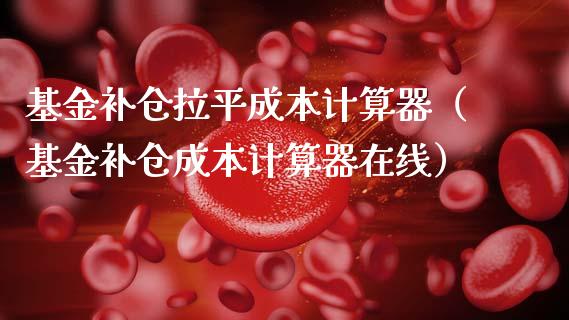 基金补仓拉平成本计算器（基金补仓成本计算器在线）_https://www.qdlswl.com_基金_第1张