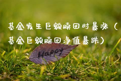 基金发生巨额赎回时暴涨（基金巨额赎回净值暴跌）_https://www.qdlswl.com_理财_第1张