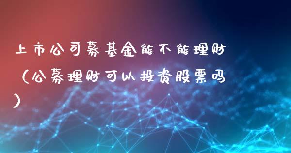 上市公司募基金能不能理财（公募理财可以投资股票吗）_https://www.qdlswl.com_理财_第1张