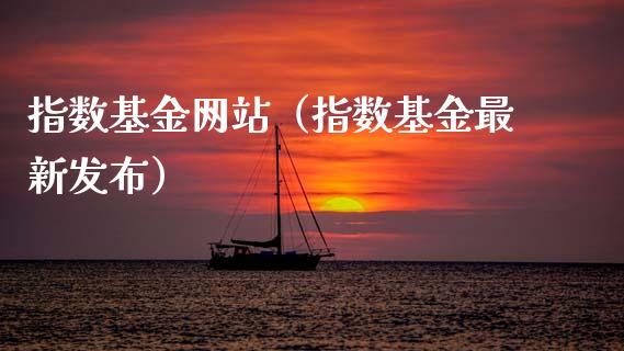 指数基金网站（指数基金最新发布）_https://www.qdlswl.com_基金_第1张