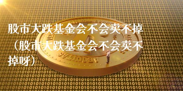 股市大跌基金会不会卖不掉（股市大跌基金会不会卖不掉呀）_https://www.qdlswl.com_理财_第1张