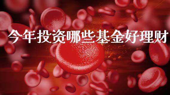 今年投资哪些基金好理财_https://www.qdlswl.com_理财_第1张