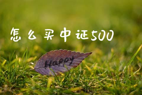 怎么买中证500_股票_第1张_青岛财经网 怎么买中证500_https://www.qdlswl.com_股票_第1张