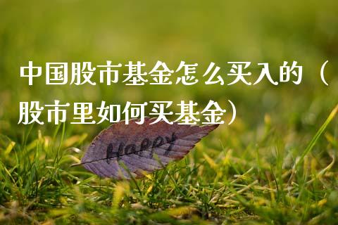 中国股市基金怎么买入的（股市里如何买基金）_https://www.qdlswl.com_基金_第1张