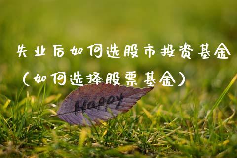 失业后如何选股市投资基金（如何选择股票基金）_https://www.qdlswl.com_基金_第1张