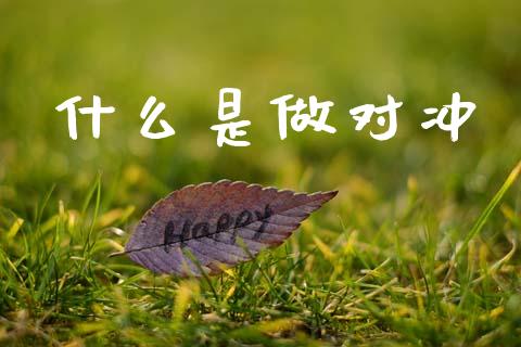 什么是做对冲_https://www.qdlswl.com_理财_第1张