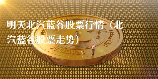明天北汽蓝谷股票行情（北汽蓝谷股票走势）_https://www.qdlswl.com_外盘_第1张