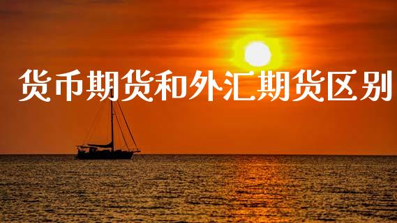货币期货和外汇期货区别_https://www.qdlswl.com_股指_第1张