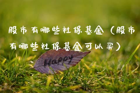股市有哪些社保基金（股市有哪些社保基金可以买）_https://www.qdlswl.com_基金_第1张
