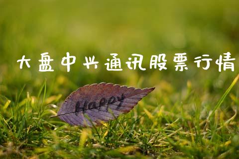 大盘中兴通讯股票行情_https://www.qdlswl.com_外盘_第1张