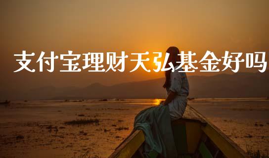 支付宝理财天弘基金好吗_https://www.qdlswl.com_基金_第1张