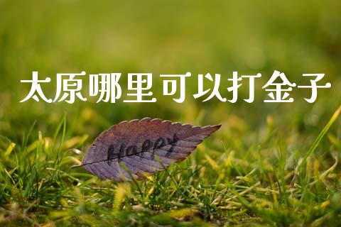 太原哪里可以打金子_https://www.qdlswl.com_期货_第1张