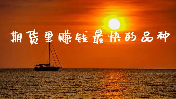 期货里赚钱最快的品种_https://www.qdlswl.com_期货_第1张