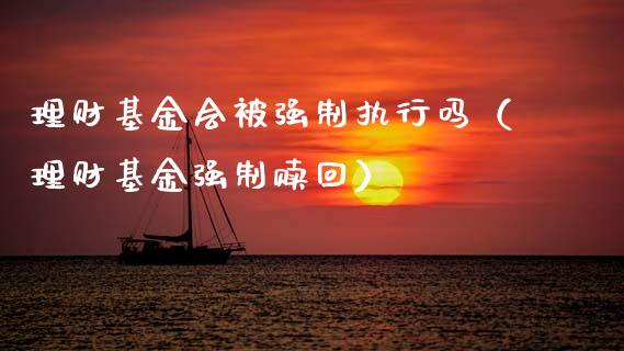 理财基金会被强制执行吗（理财基金强制赎回）_https://www.qdlswl.com_理财_第1张