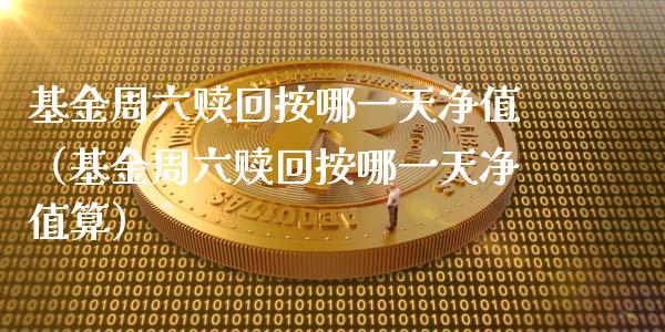 基金周六赎回按哪一天净值（基金周六赎回按哪一天净值算）_https://www.qdlswl.com_理财_第1张