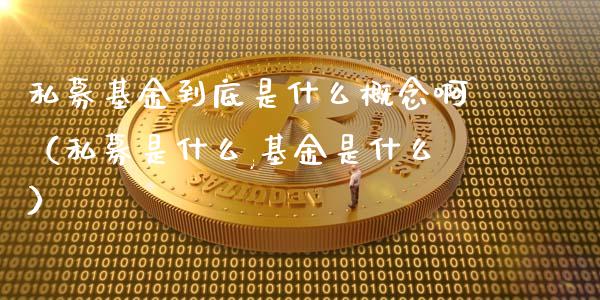 私募基金到底是什么概念啊（私募是什么,基金是什么）_https://www.qdlswl.com_基金_第1张