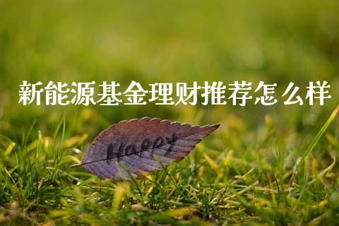 新能源基金理财推荐怎么样_https://www.qdlswl.com_理财_第1张